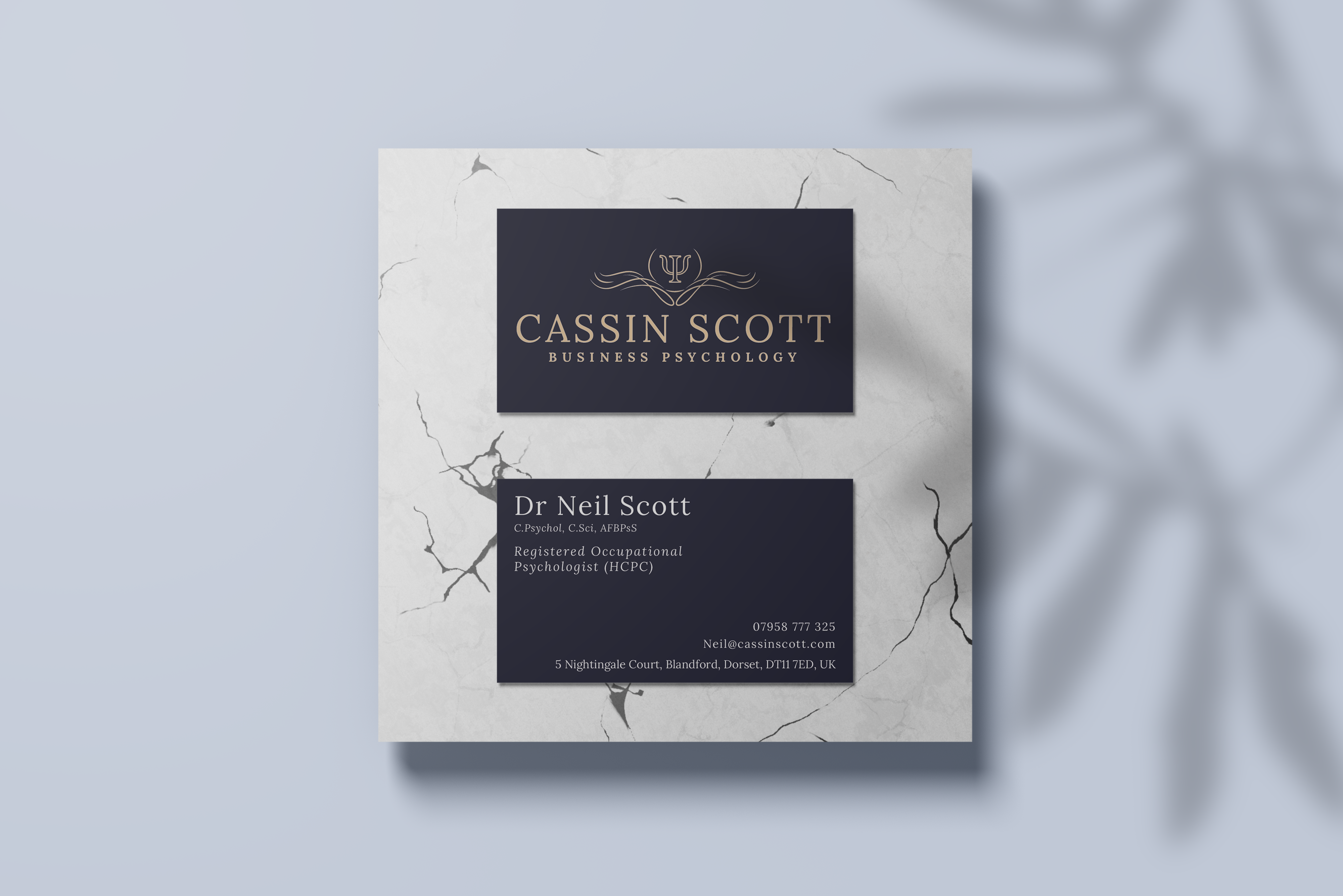 Cassin-Scott branding redesign